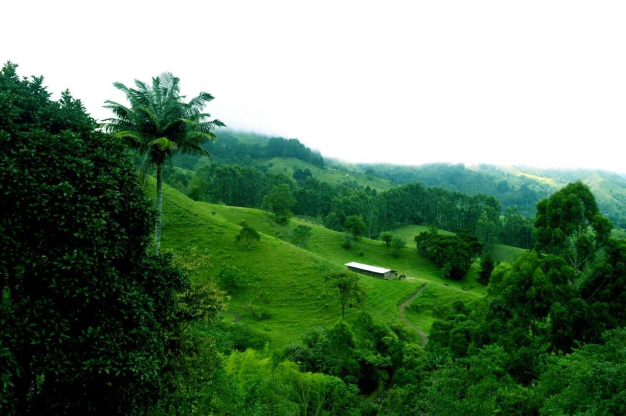 Mirador De Los Cedros Salento Exterior foto